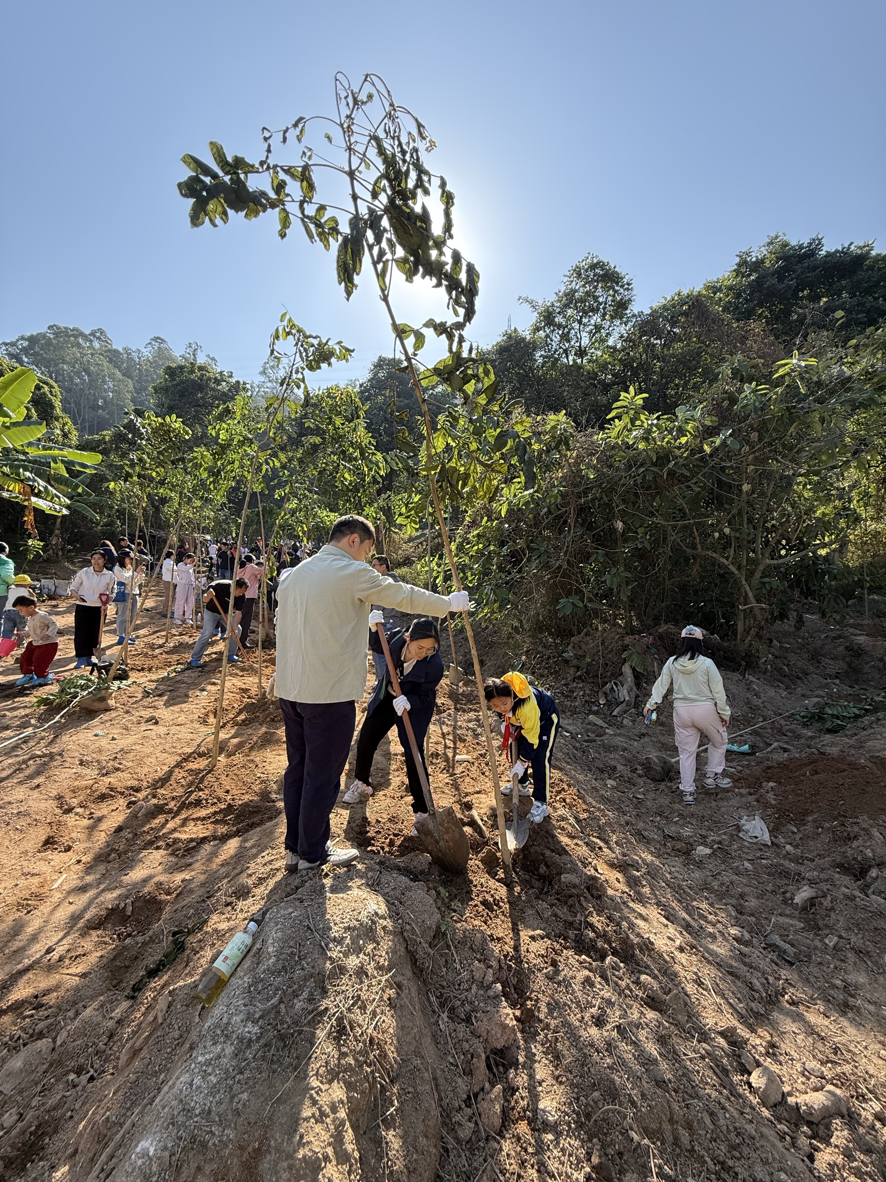 /upload/202603201618967276.jpg /upload/202603201618967276.jpg